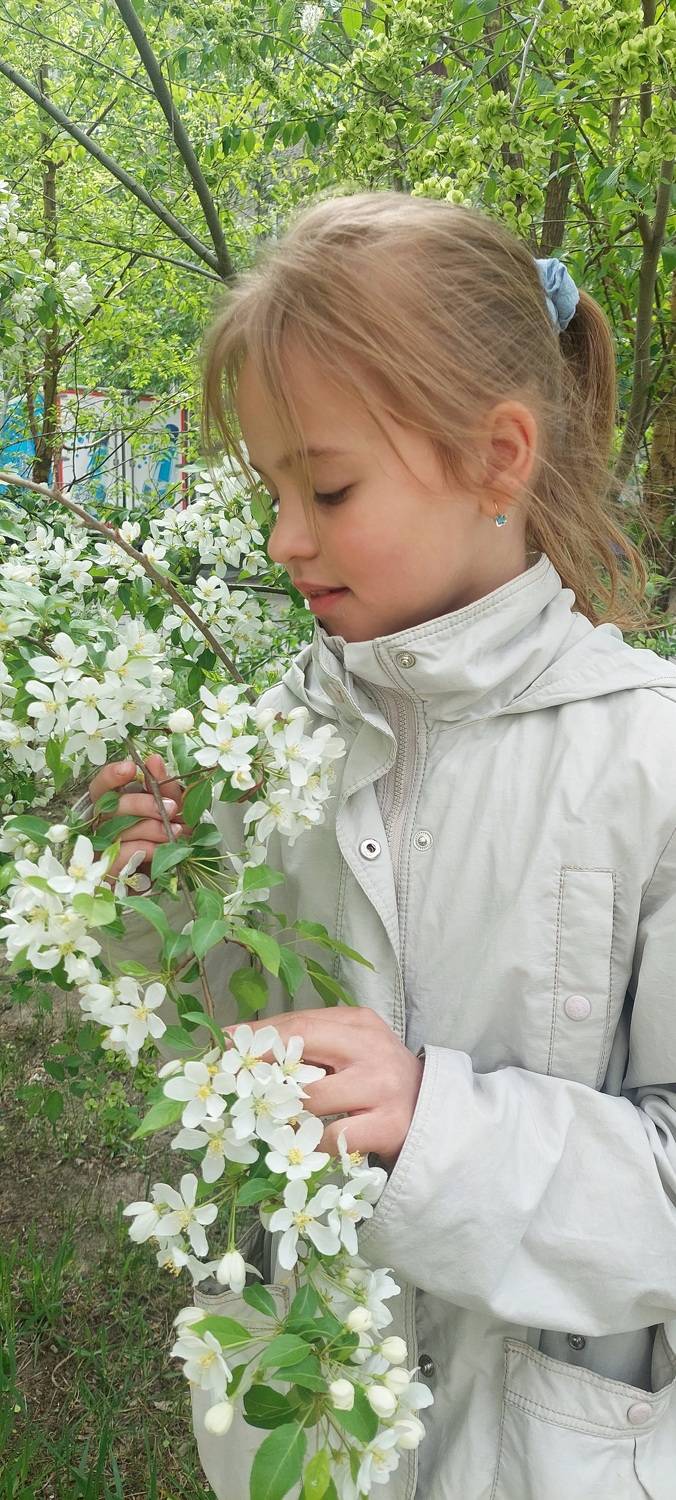 Photo #11038559