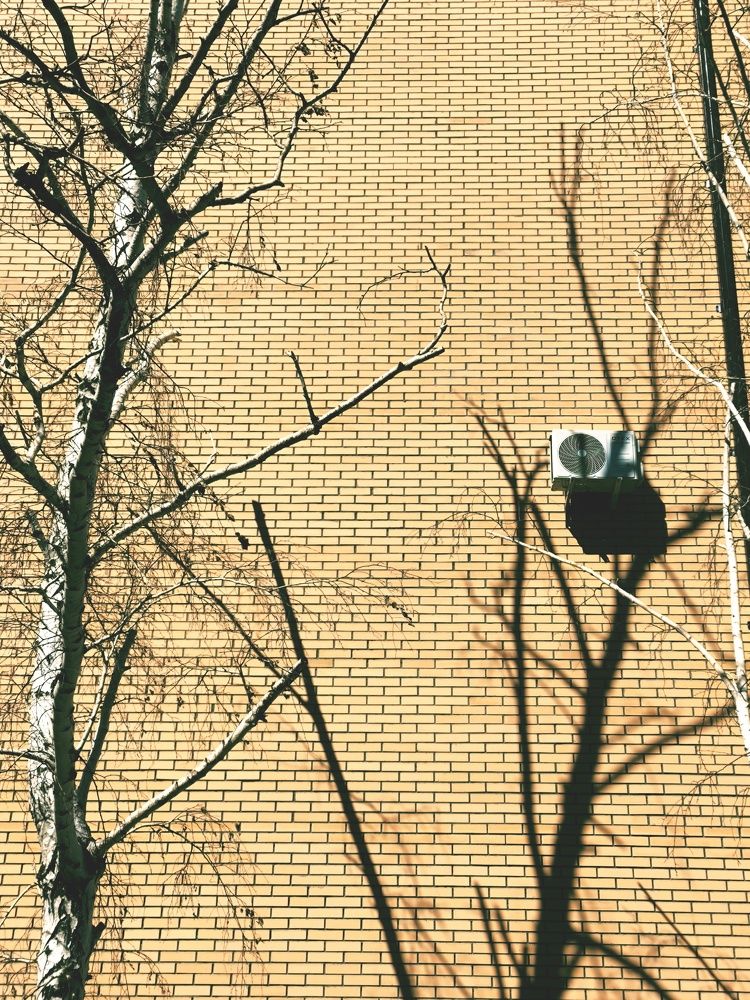 Photograph by Ульяна Бедрицкая