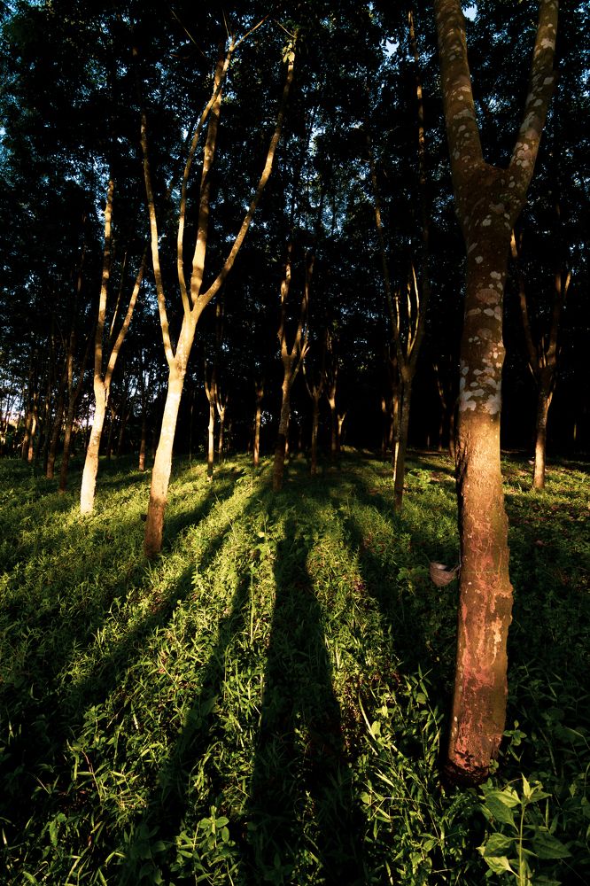 Photograph by Pinak Paul