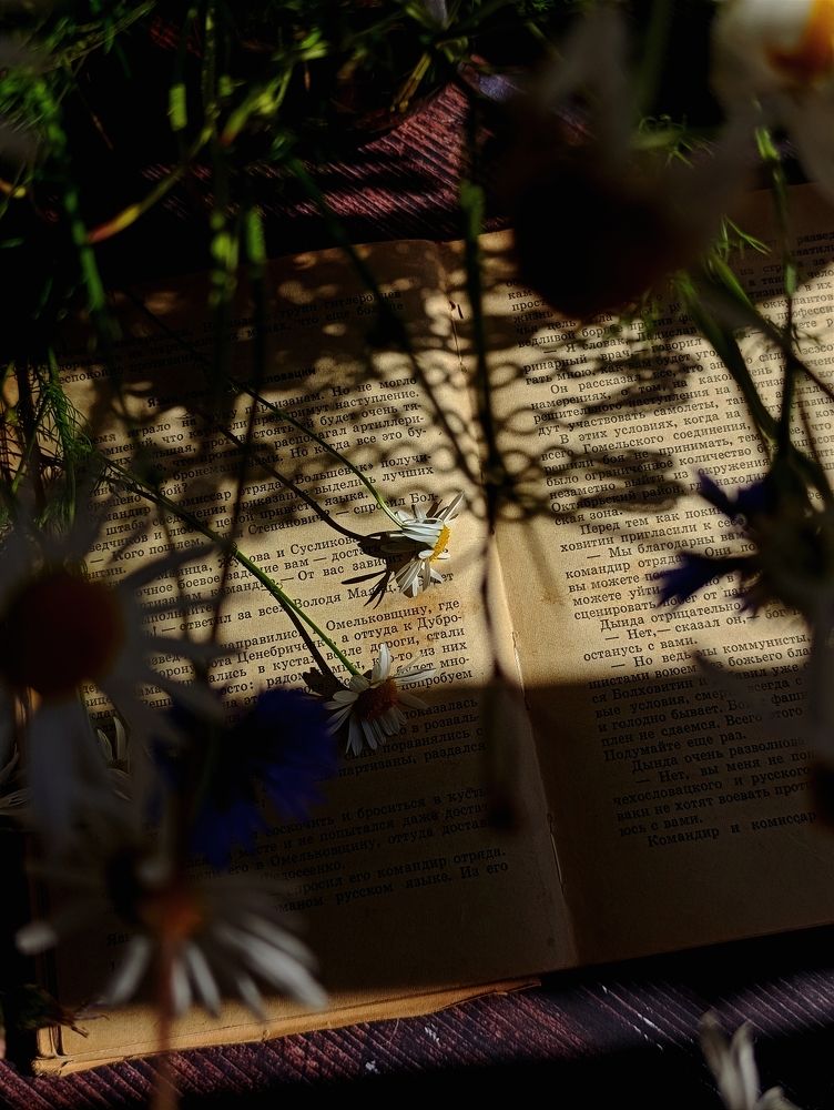 Photograph by Светлана Таркан