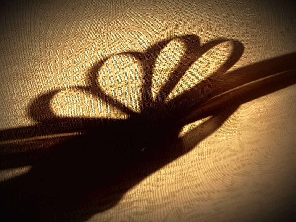 Photograph by Светлана Таркан