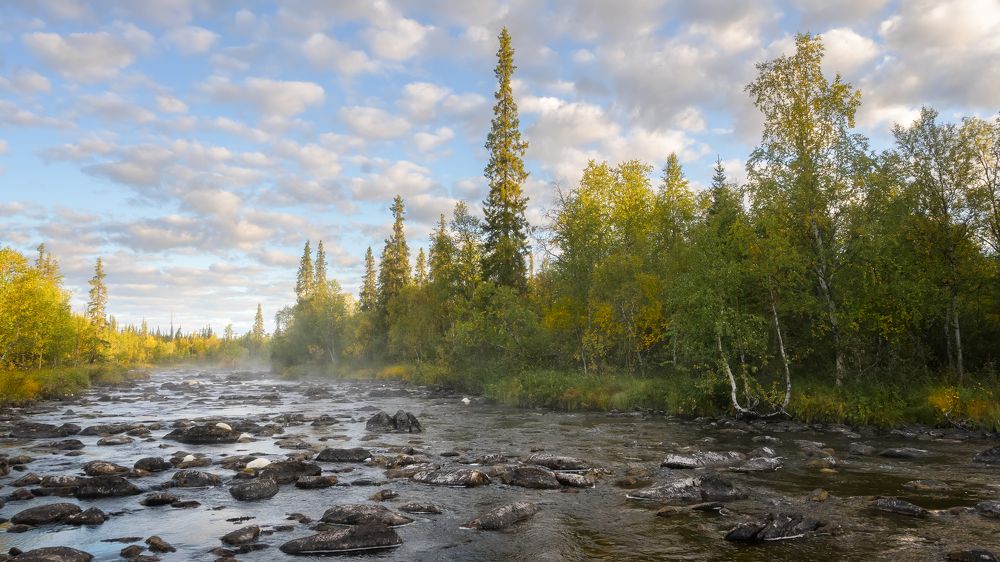 На таёжной реке