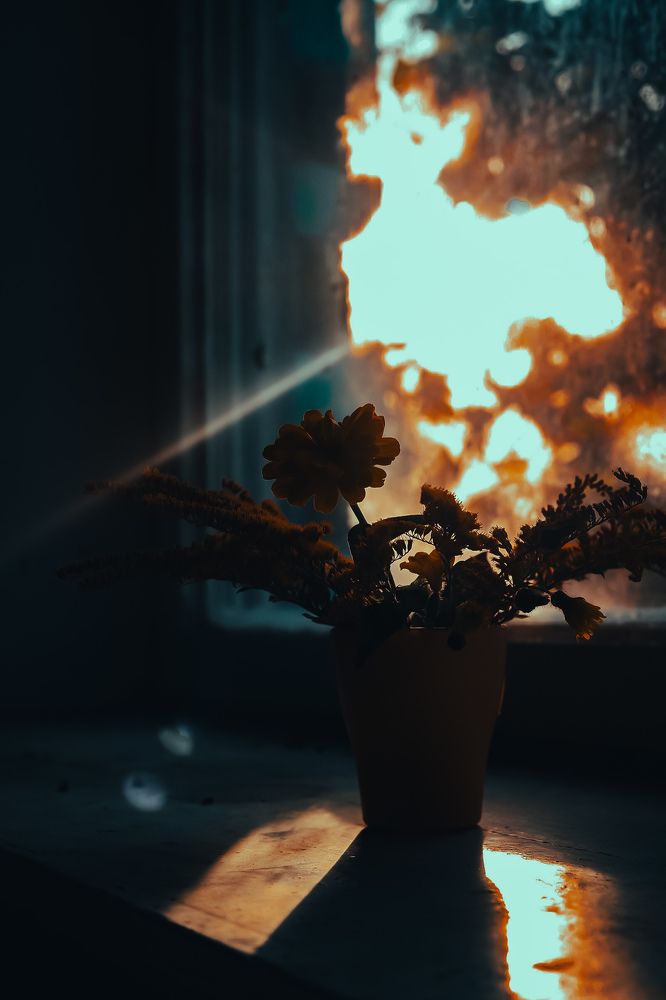 Photograph by Руслана Ковалевская