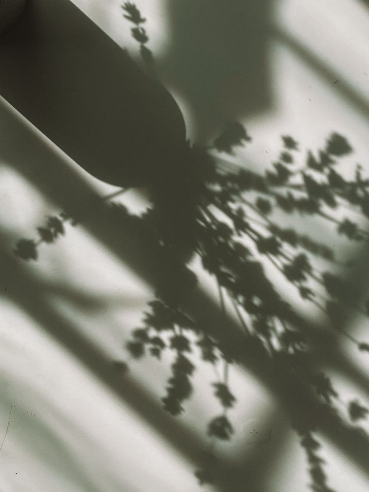 Photograph by Наталия Столяр