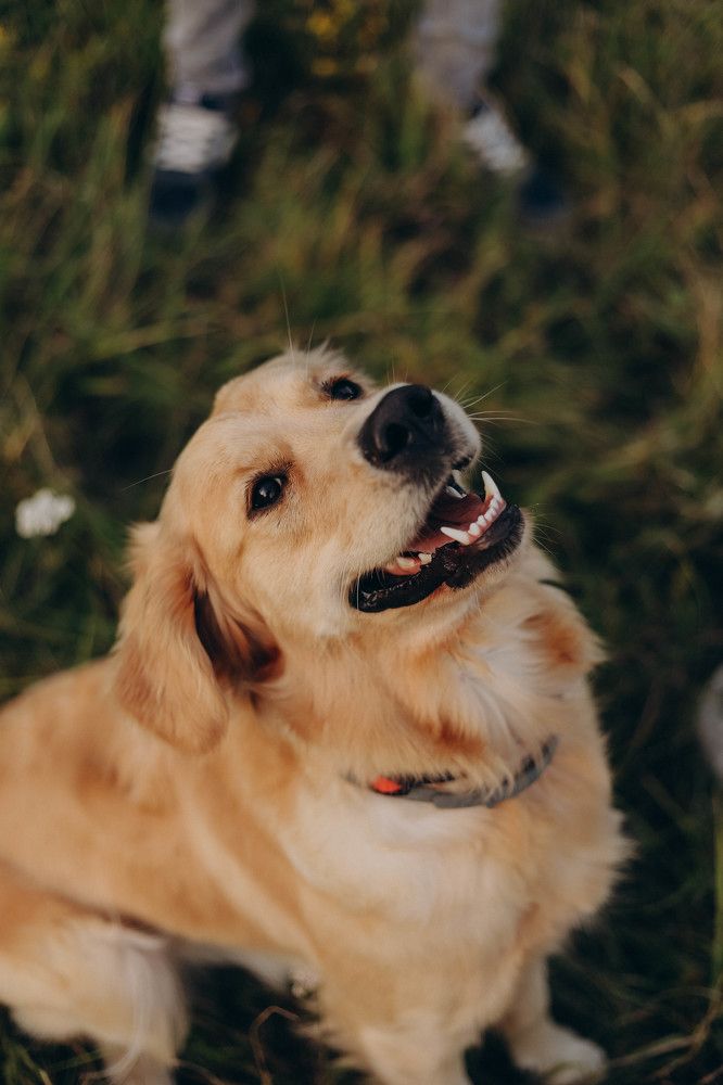 Фотография автора Valentina