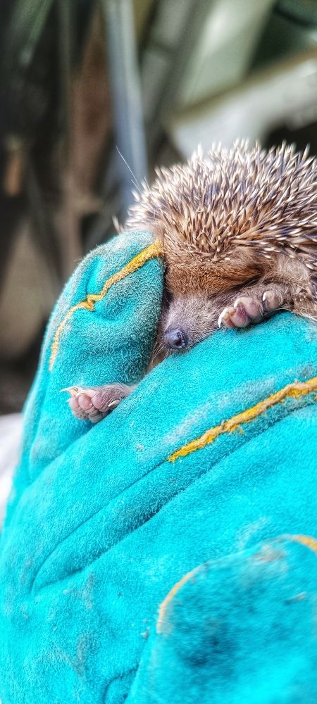 Photograph by Валентин Волк