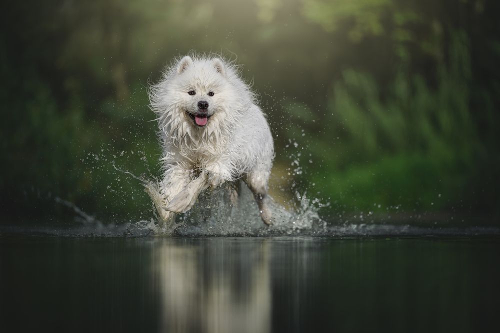 Фотография автора Rut Casanellas