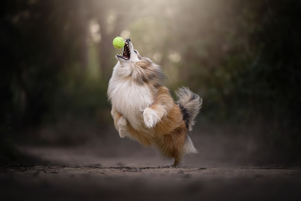 Фотография автора Rut Casanellas