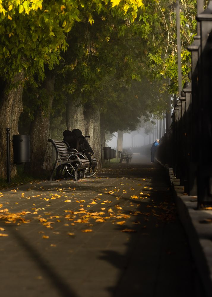 Одиночество