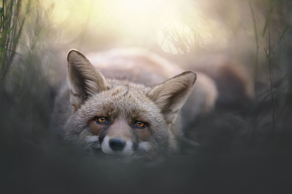 Фотография автора Rut Casanellas