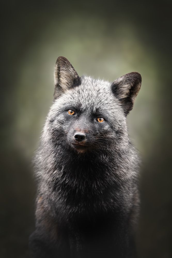 Фотография автора Rut Casanellas