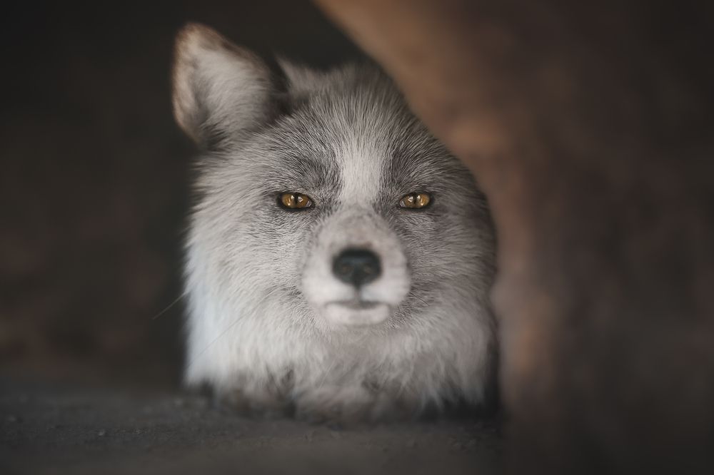 Фотография автора Rut Casanellas