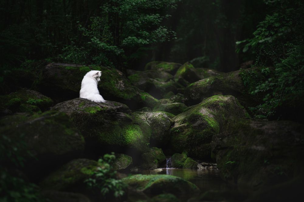 Photograph by Rut Casanellas