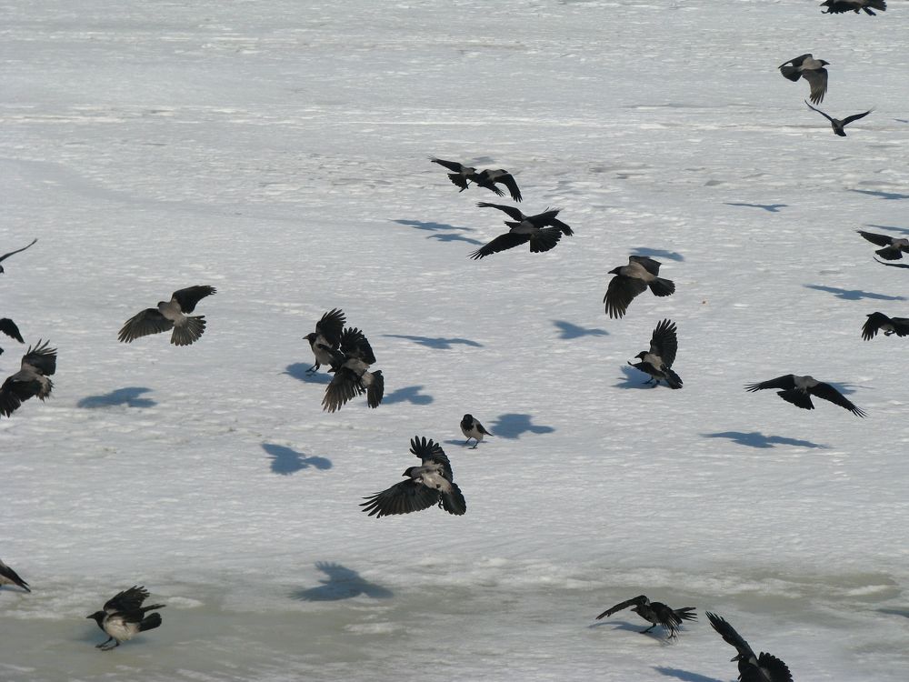 Photograph by Лада Кляузина