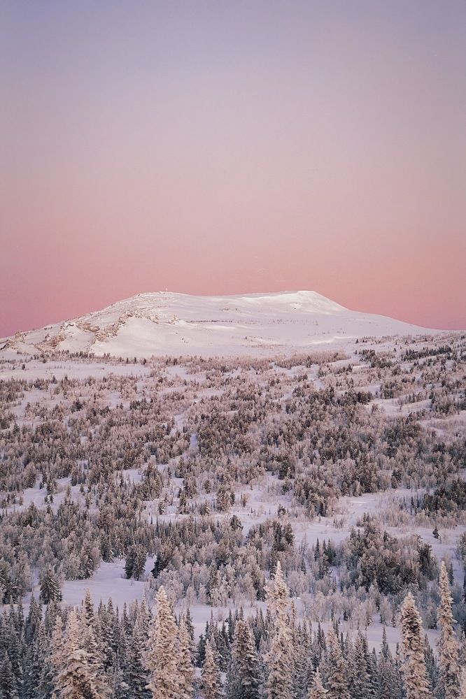 Фотография автора Дмитрий Постельный