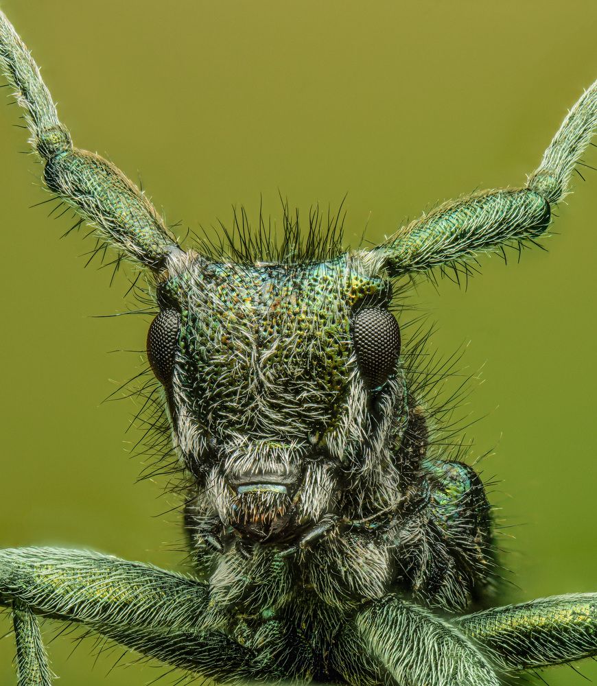 Photograph by Юрий Юрьевич Подгрушный