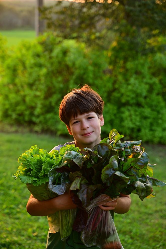 Photograph by Наталья Сергеева