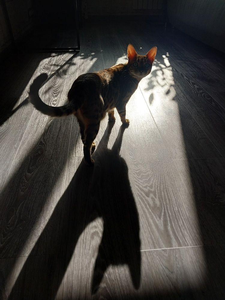 Photograph by Юлия Фирман