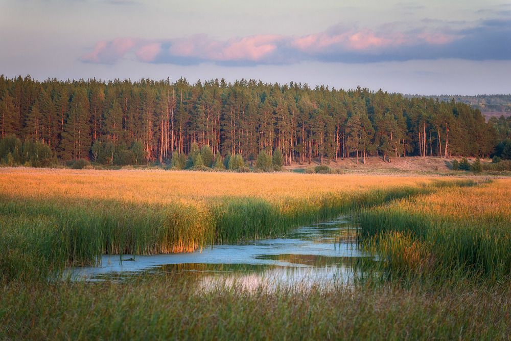 Photograph by Владислав Никишин