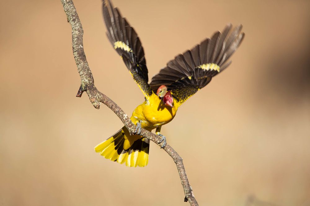 Photograph by alvaro berben marin