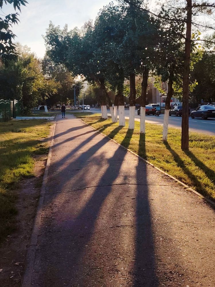 Фотография автора Анна Морозова