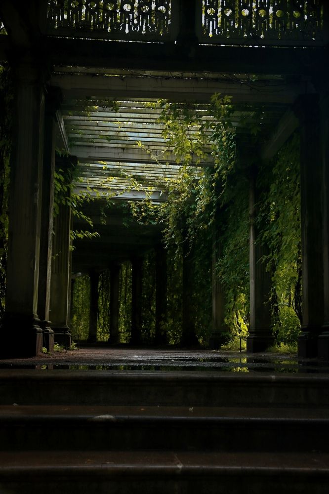 Photograph by Светлана Дорофеева