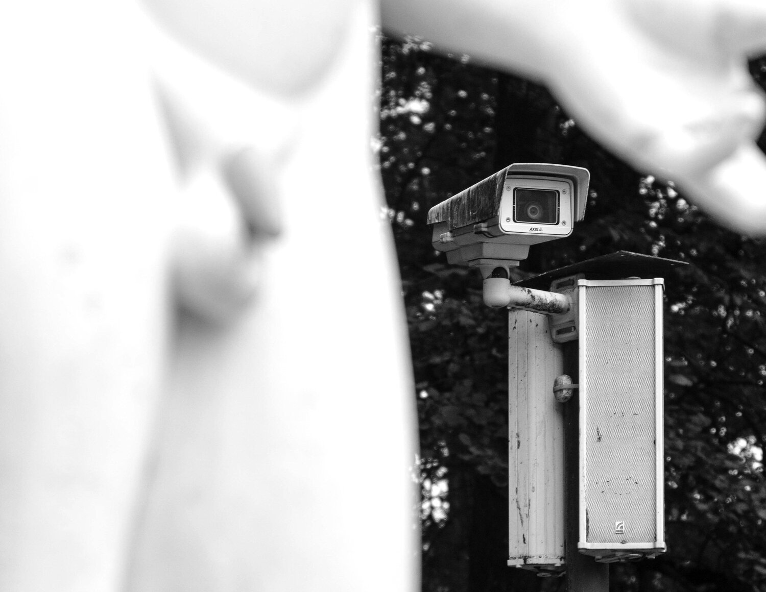 Photo #11039509