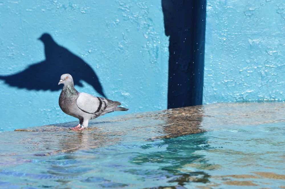 Photograph by Наталья Сорокина