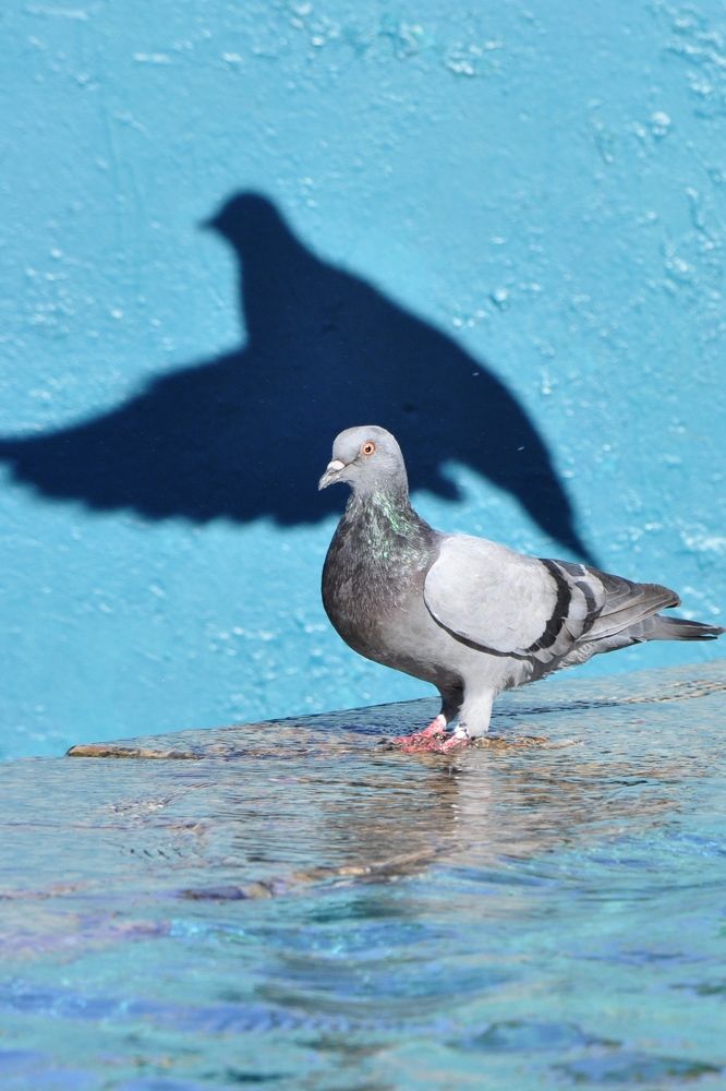 Photograph by Наталья Сорокина