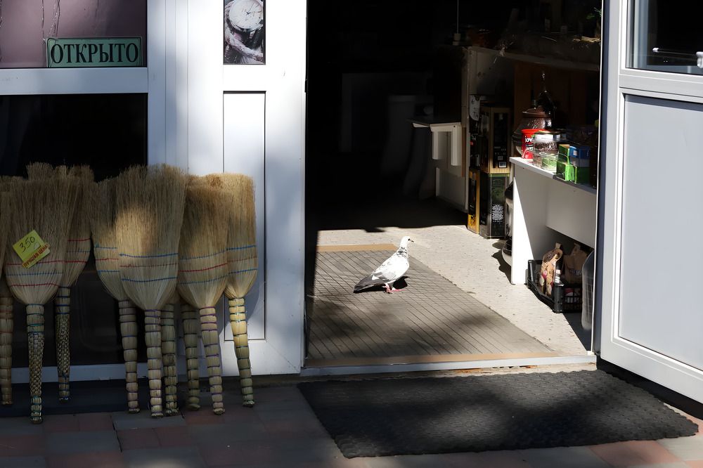 Photograph by Татьяна Слесарева