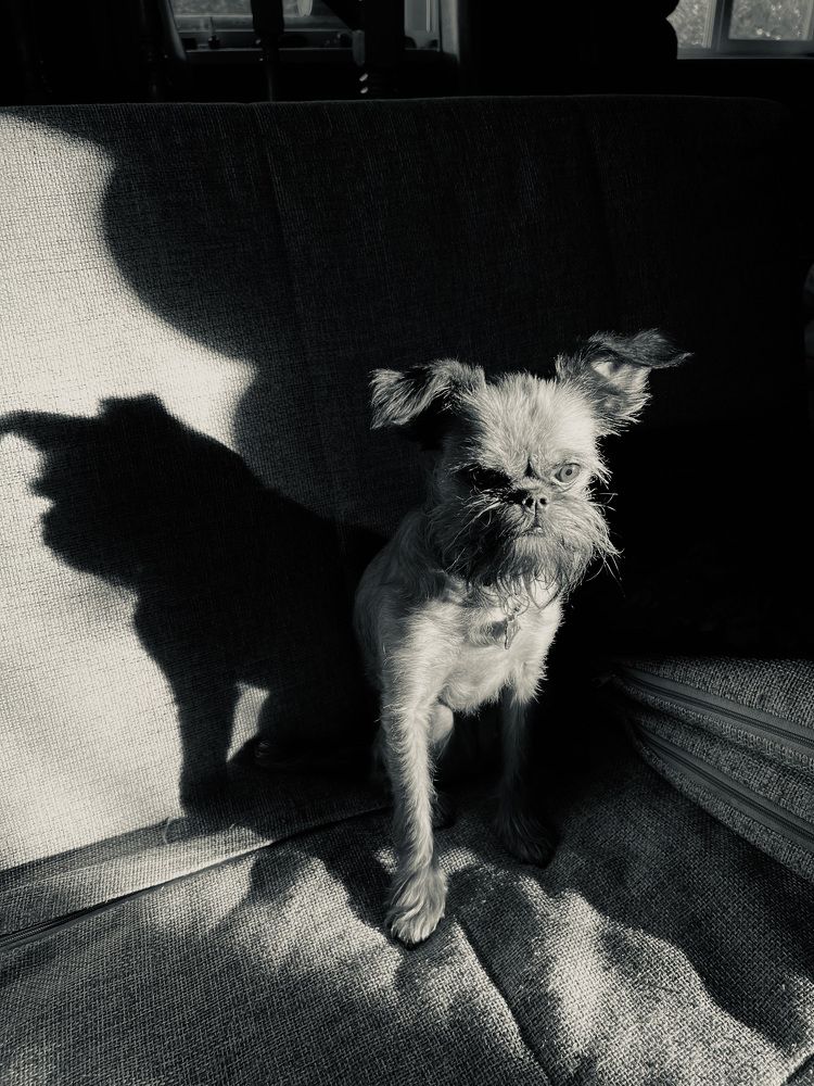 Photograph by Светлана Ермакова