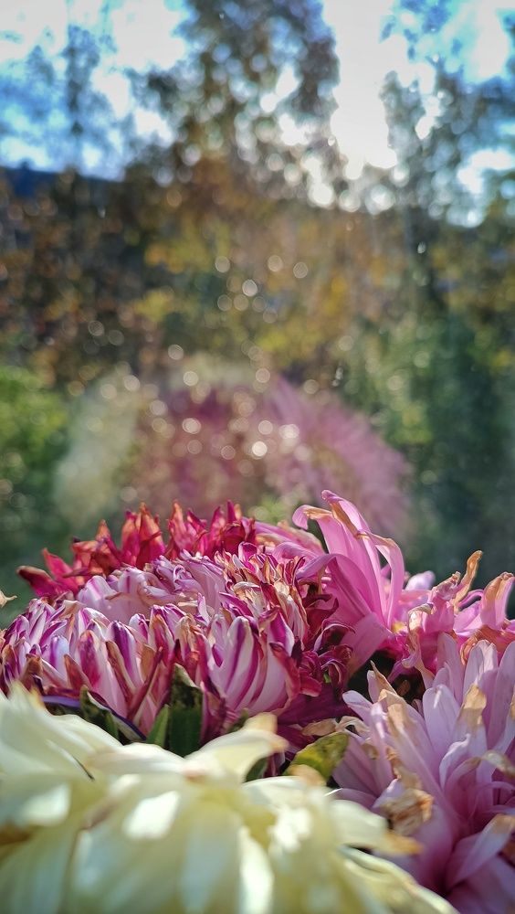 Photograph by Жанна Цветкова