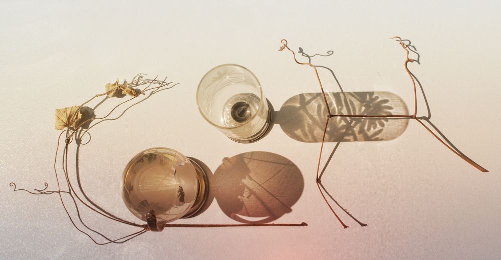 Фотография автора Шипунова Ирина