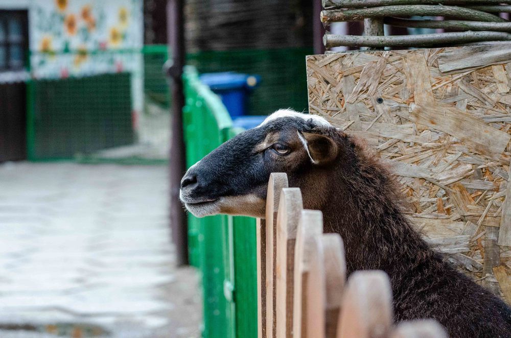 Фотография автора Владимир Брызгунов