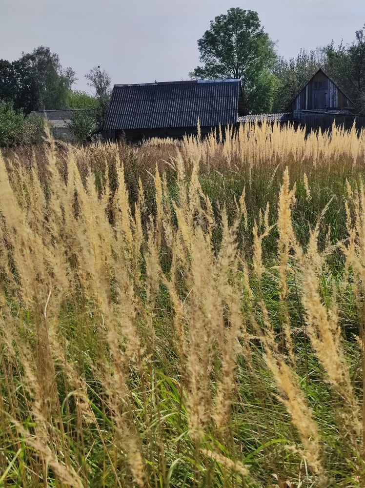 Фотография автора Елена Рузинова