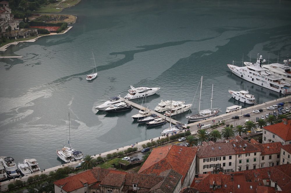 Фотография автора Анатолий Дауров