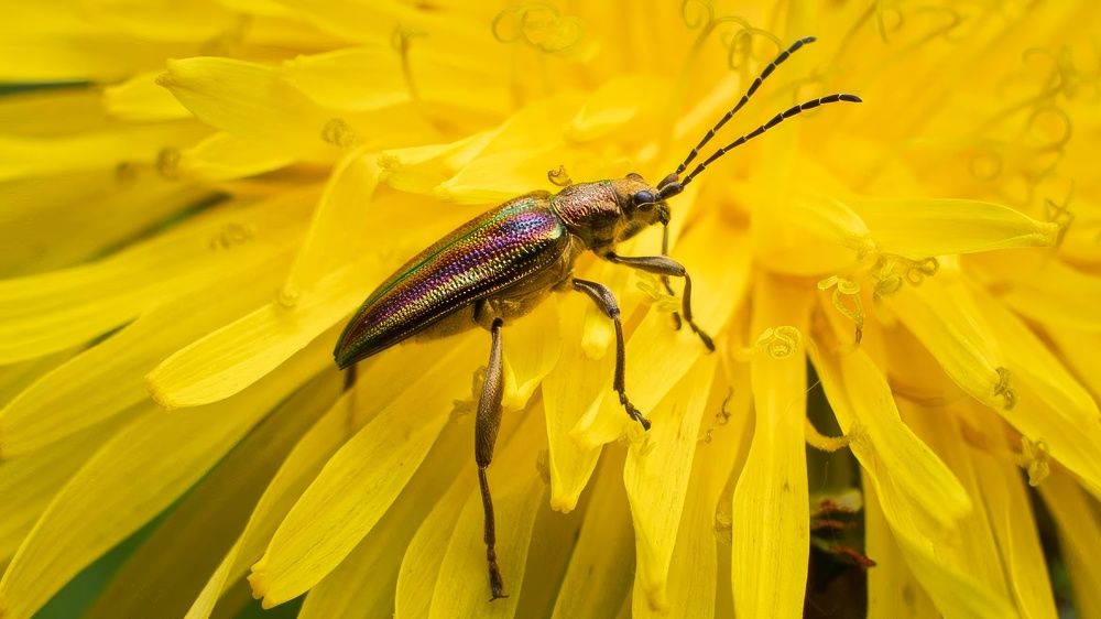 Photograph by Игорь Иванов