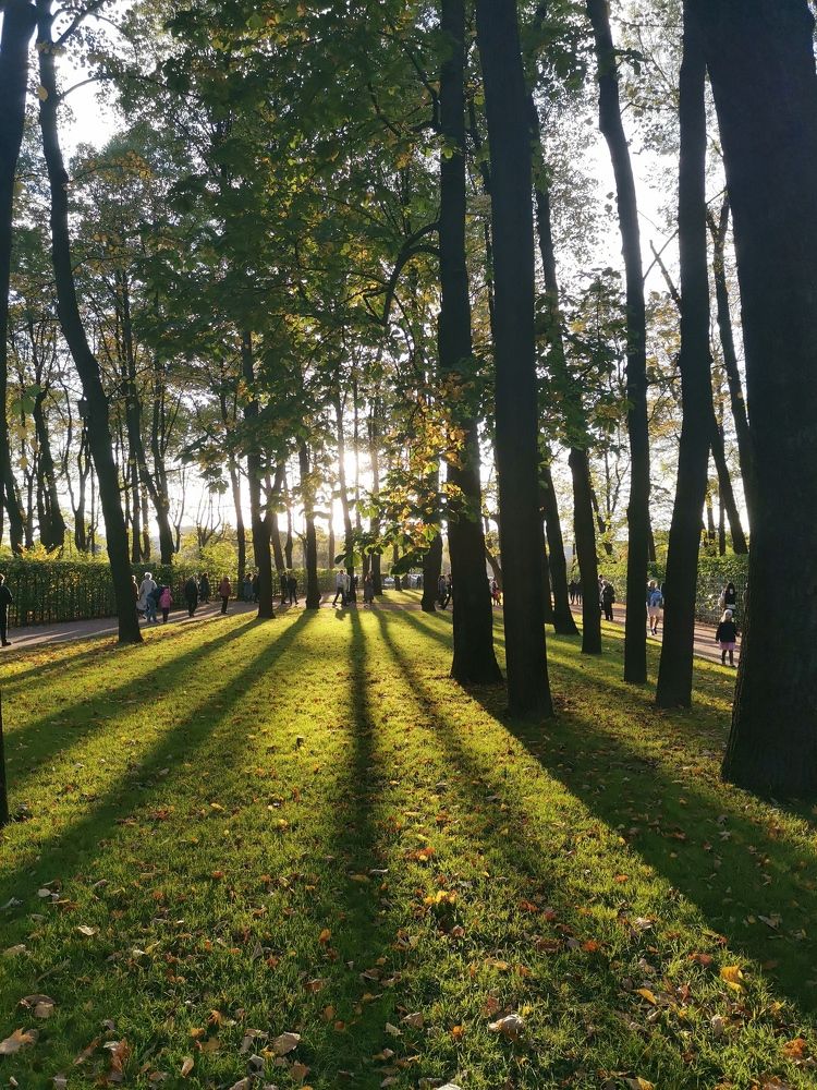 Photograph by Наталия Князева