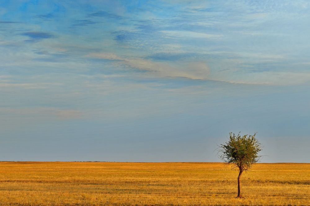 Photograph by Олег Корешонков