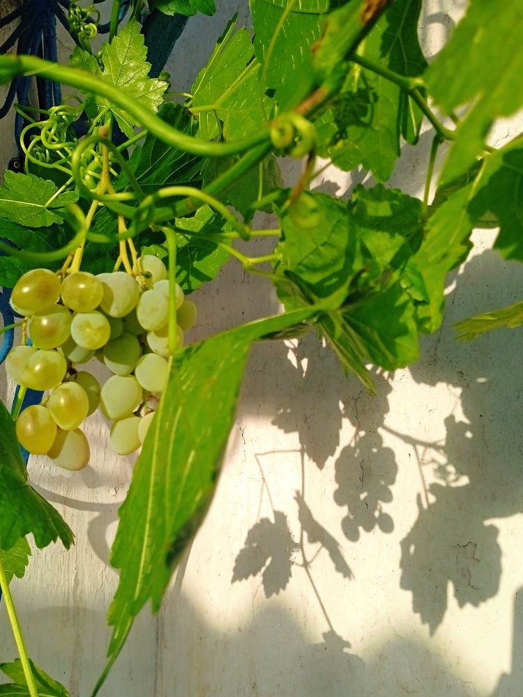 Photograph by Наталья Назаренко