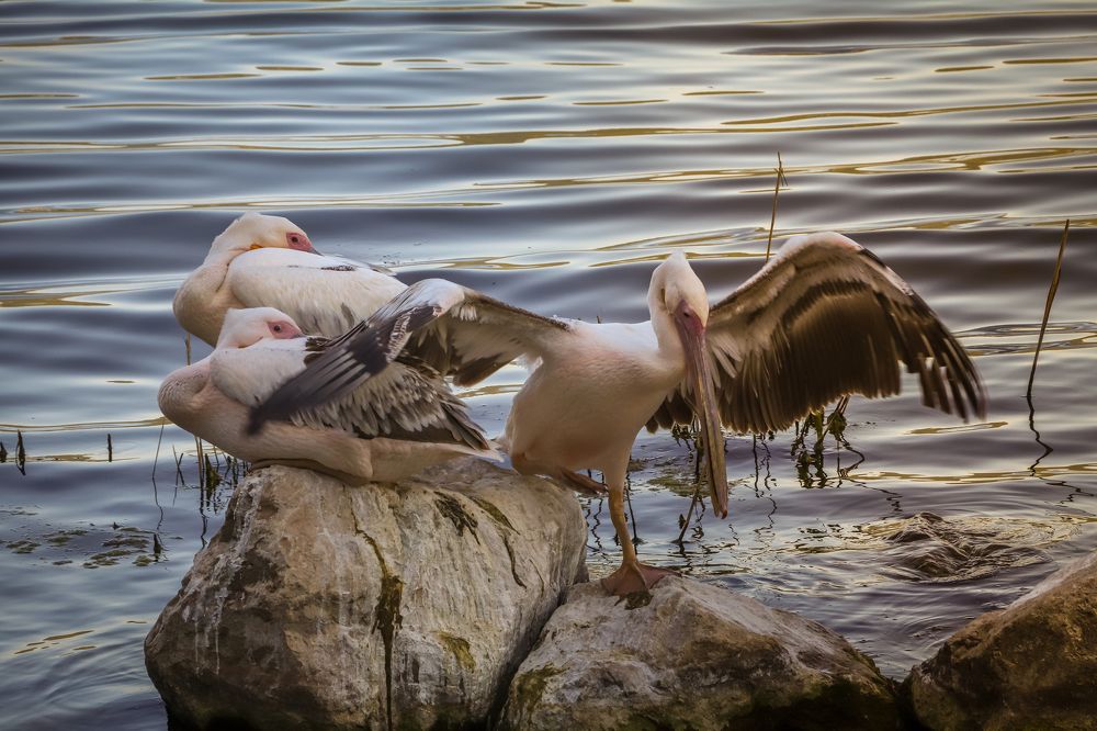 Photograph by Buket Demirel