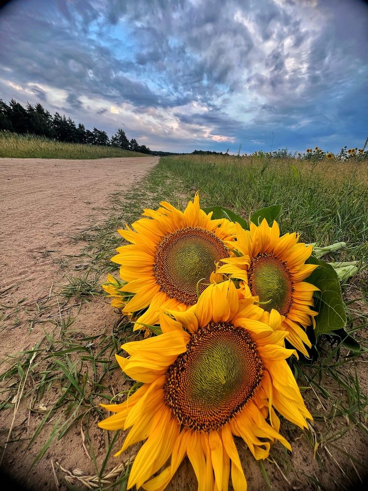 Photograph by Виктория Поздеева