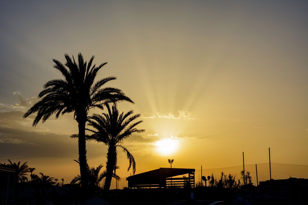 Photograph by Александр Поцелуев