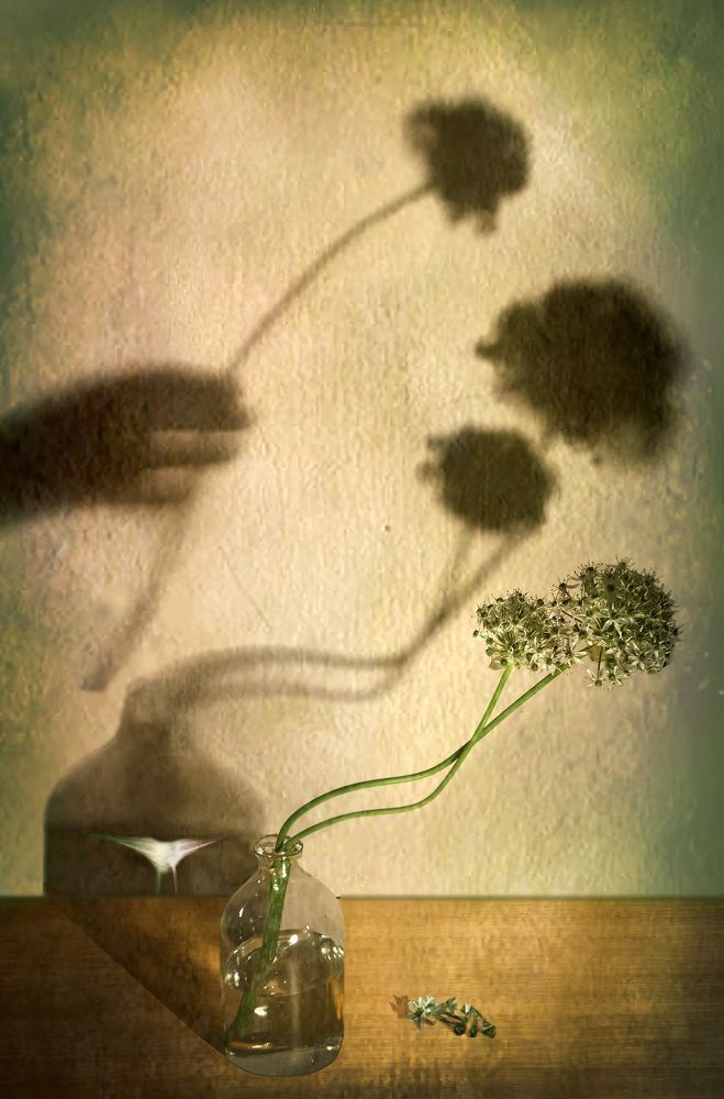 Сянката (The Shadow)