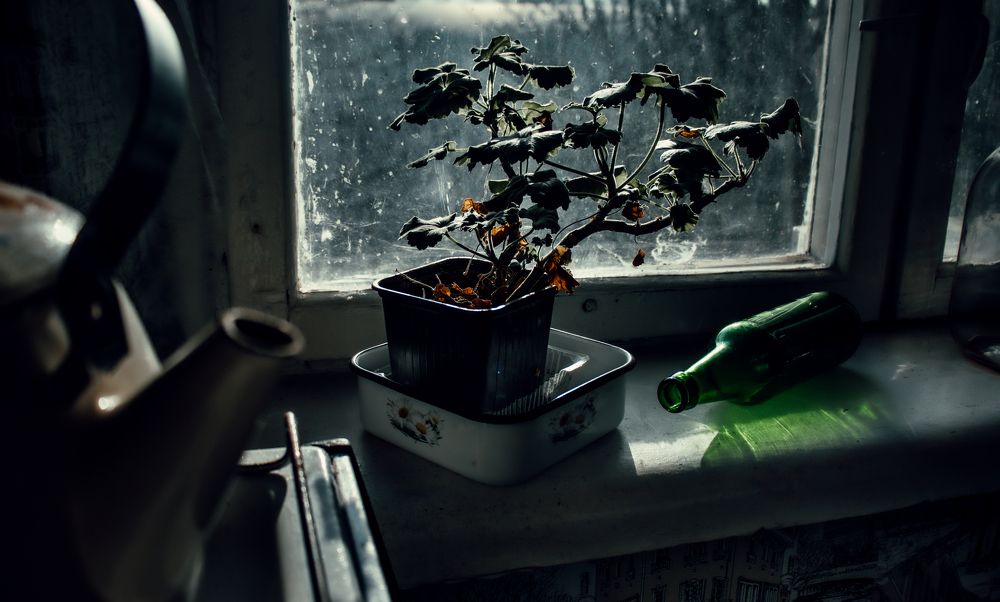 Photograph by Владислав