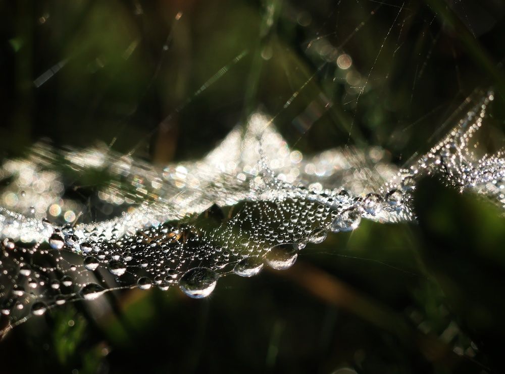 Photograph by Olga Asson