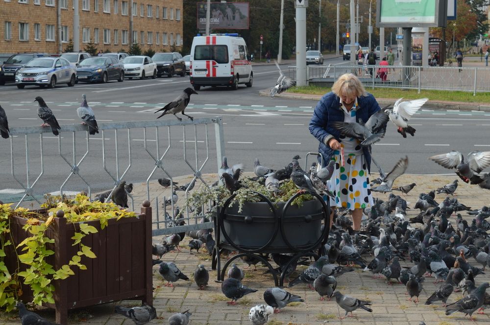 Photograph by Сафонцев Георгий