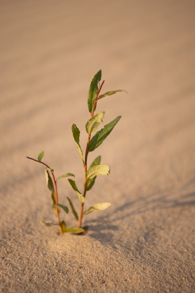 Photograph by Юлия Муртузова