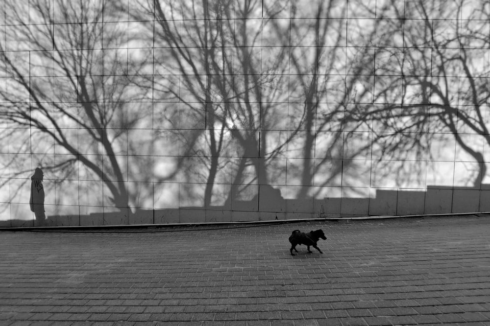 Photograph by Гайдук Евгений