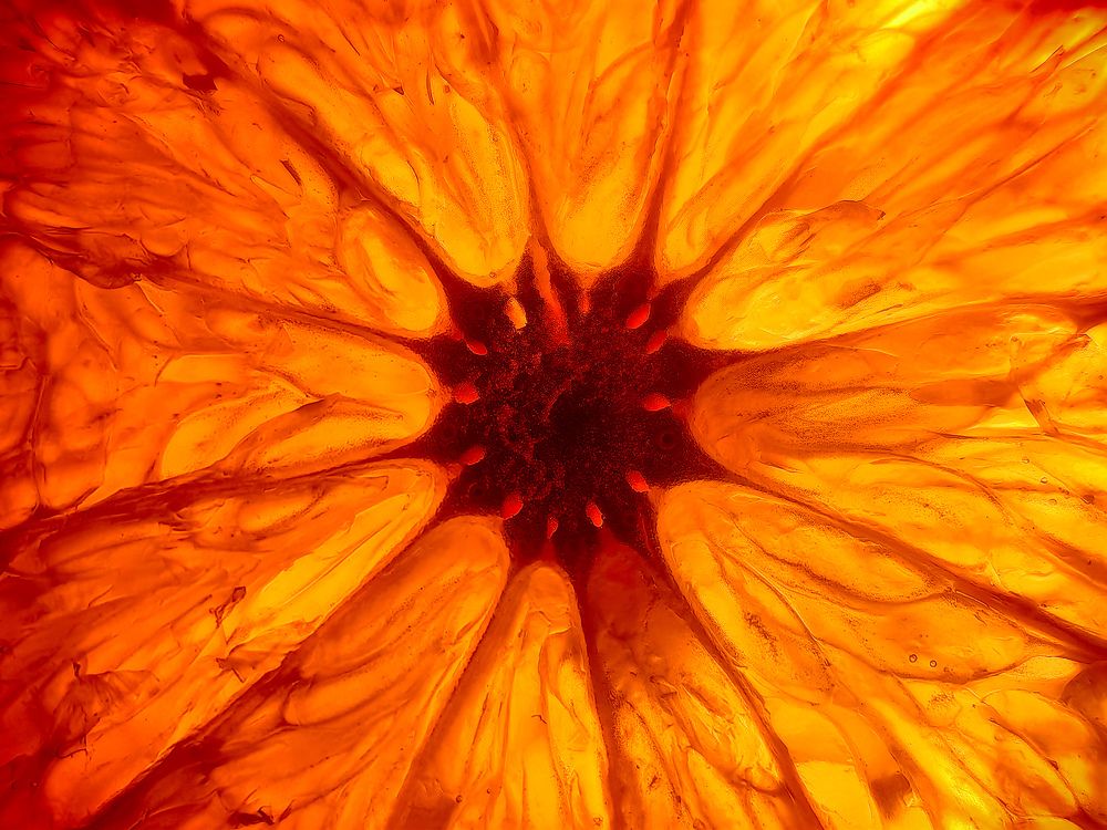 Photograph by Shahid Siyal